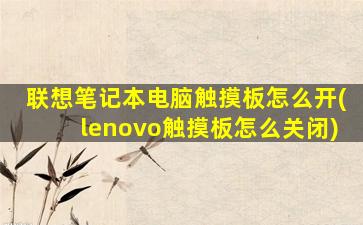 联想笔记本电脑触摸板怎么开(lenovo触摸板怎么关闭)