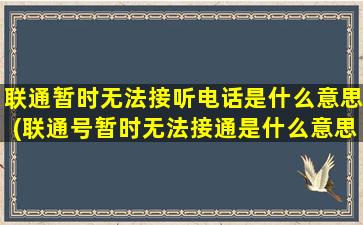 联通暂时无法接听电话是什么意思(联通号暂时无法接通是什么意思)