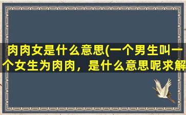 肉肉女是什么意思(一个男生叫一个女生为肉肉，是什么意思呢求解答)