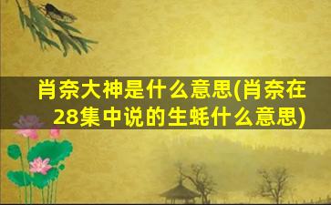 肖奈大神是什么意思(肖奈在28集中说的生蚝什么意思)