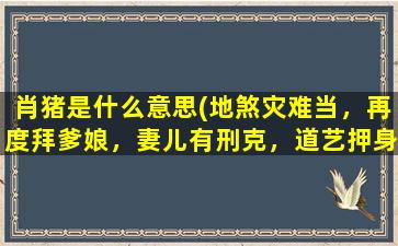 肖猪是什么意思(地煞灾难当，再度拜爹娘，妻儿有刑克，道艺押身强，是什么意思)