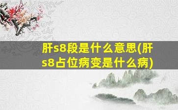 肝s8段是什么意思(肝s8占位病变是什么病)