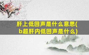 肝上低回声是什么意思(b超肝内低回声是什么)