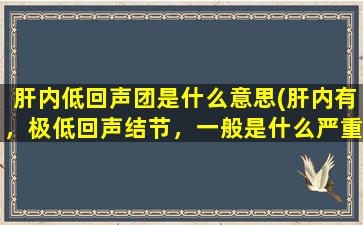 肝内低回声团是什么意思(肝内有，极低回声结节，一般是什么严重吗)