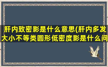 肝内致密影是什么意思(肝内多发大小不等类圆形低密度影是什么问题)