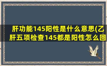 肝功能145阳性是什么意思(乙肝五项检查145都是阳性怎么回事)