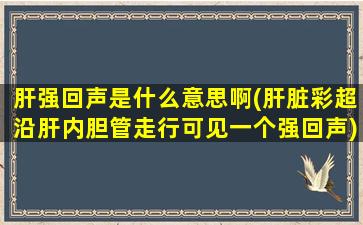 肝强回声是什么意思啊(肝脏彩超沿肝内胆管走行可见一个强回声)