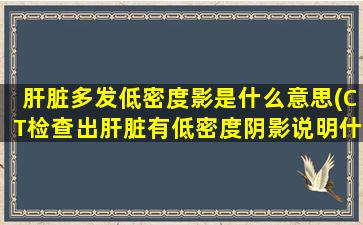 肝脏多发低密度影是什么意思(CT检查出肝脏有低密度阴影说明什么)