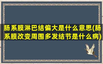 肠系膜淋巴结偏大是什么意思(肠系膜改变周围多发结节是什么病)