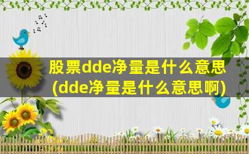 股票dde净量是什么意思(dde净量是什么意思啊)