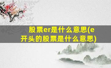 股票er是什么意思(e开头的股票是什么意思)