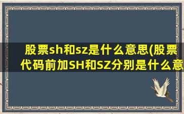 股票sh和sz是什么意思(股票代码前加SH和SZ分别是什么意思)