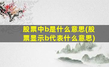 股票中b是什么意思(股票显示b代表什么意思)