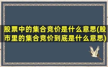 股票中的集合竞价是什么意思(股市里的集合竞价到底是什么意思)