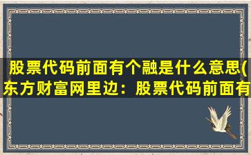 股票代码前面有个融是什么意思(东方财富网里边：股票代码前面有个蓝色的“融”代表什么意思呀)