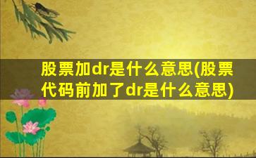 股票加dr是什么意思(股票代码前加了dr是什么意思)