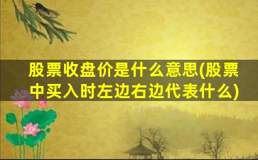 股票收盘价是什么意思(股票中买入时左边右边代表什么)