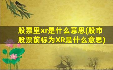 股票里xr是什么意思(股市股票前标为XR是什么意思)