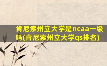 肯尼索州立大学是ncaa一级吗(肯尼索州立大学qs排名)