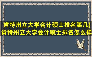 肯特州立大学会计硕士排名第几(肯特州立大学会计硕士排名怎么样)