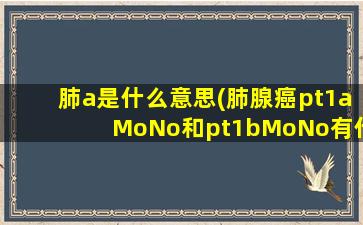 肺a是什么意思(肺腺癌pt1aMoNo和pt1bMoNo有什么区别)