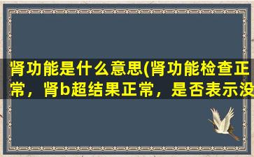 肾功能是什么意思(肾功能检查正常，肾b超结果正常，是否表示没有肾部疾病)