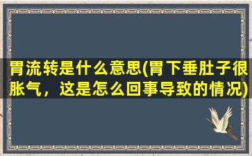 胃流转是什么意思(胃下垂肚子很胀气，这是怎么回事导致的情况)