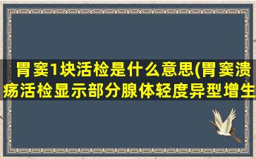 胃窦1块活检是什么意思(胃窦溃疡活检显示部分腺体轻度异型增生怎么回事)