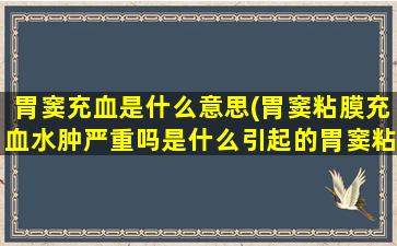 胃窦充血是什么意思(胃窦粘膜充血水肿严重吗是什么引起的胃窦粘膜充血)