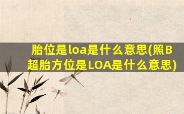 胎位是loa是什么意思(照B超胎方位是LOA是什么意思)