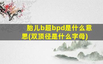 胎儿b超bpd是什么意思(双顶径是什么字母)