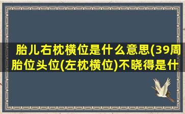 胎儿右枕横位是什么意思(39周胎位头位(左枕横位)不晓得是什么意思)