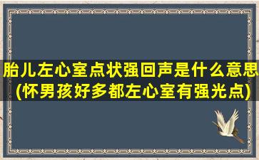 胎儿左心室点状强回声是什么意思(怀男孩好多都左心室有强光点)