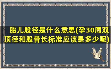 胎儿股径是什么意思(孕30周双顶径和股骨长标准应该是多少呢)