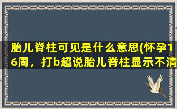 胎儿脊柱可见是什么意思(怀孕16周，打b超说胎儿脊柱显示不清晰有关系吗)