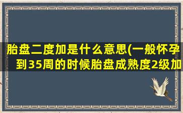 胎盘二度加是什么意思(一般怀孕到35周的时候胎盘成熟度2级加是表示什么呢)