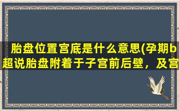 胎盘位置宫底是什么意思(孕期b超说胎盘附着于子宫前后壁，及宫底，什么意思)