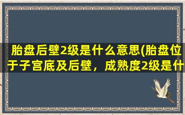 胎盘后壁2级是什么意思(胎盘位于子宫底及后壁，成熟度2级是什么意思)