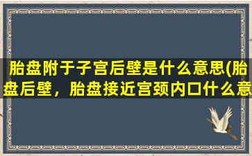 胎盘附于子宫后壁是什么意思(胎盘后壁，胎盘接近宫颈内口什么意思)