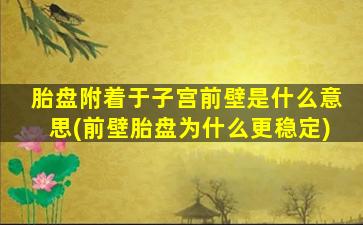 胎盘附着于子宫前壁是什么意思(前壁胎盘为什么更稳定)