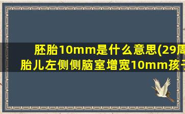 胚胎10mm是什么意思(29周胎儿左侧侧脑室增宽10mm孩子可以要吗)