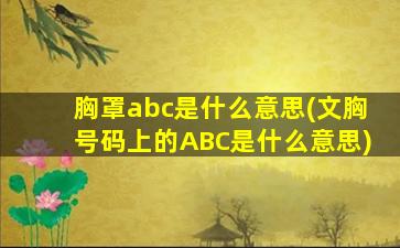 胸罩abc是什么意思(文胸号码上的ABC是什么意思)