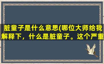 脏童子是什么意思(哪位大师给我解释下，什么是脏童子。这个严重吗)