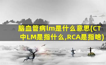 脑血管病lm是什么意思(CT中LM是指什么,RCA是指啥)