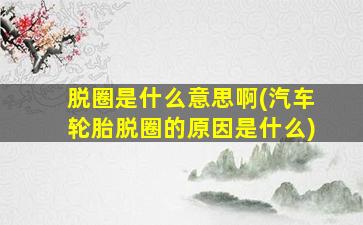 脱圈是什么意思啊(汽车轮胎脱圈的原因是什么)