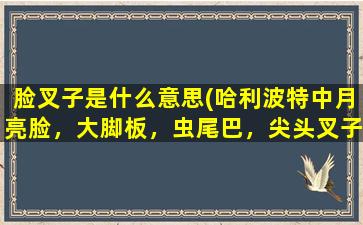 脸叉子是什么意思(哈利波特中月亮脸，大脚板，虫尾巴，尖头叉子都是谁啊)