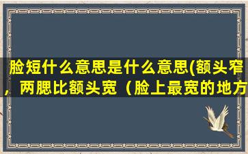 脸短什么意思是什么意思(额头窄，两腮比额头宽（脸上最宽的地方），下巴尖，脸短，是什么脸型适合什么发型)