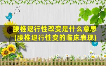 腰椎退行性改变是什么意思(腰椎退行性变的临床表现)