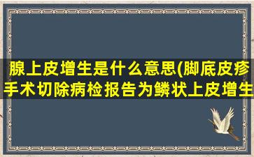 腺上皮增生是什么意思(脚底皮疹手术切除病检报告为鳞状上皮增生伴角化过度是什么意思)