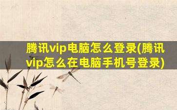 腾讯vip电脑怎么登录(腾讯vip怎么在电脑手机号登录)